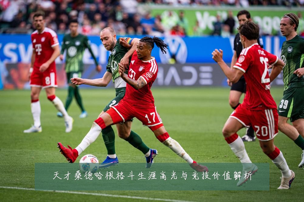 天才桑德哈根格斗生涯高光与竞技价值解析